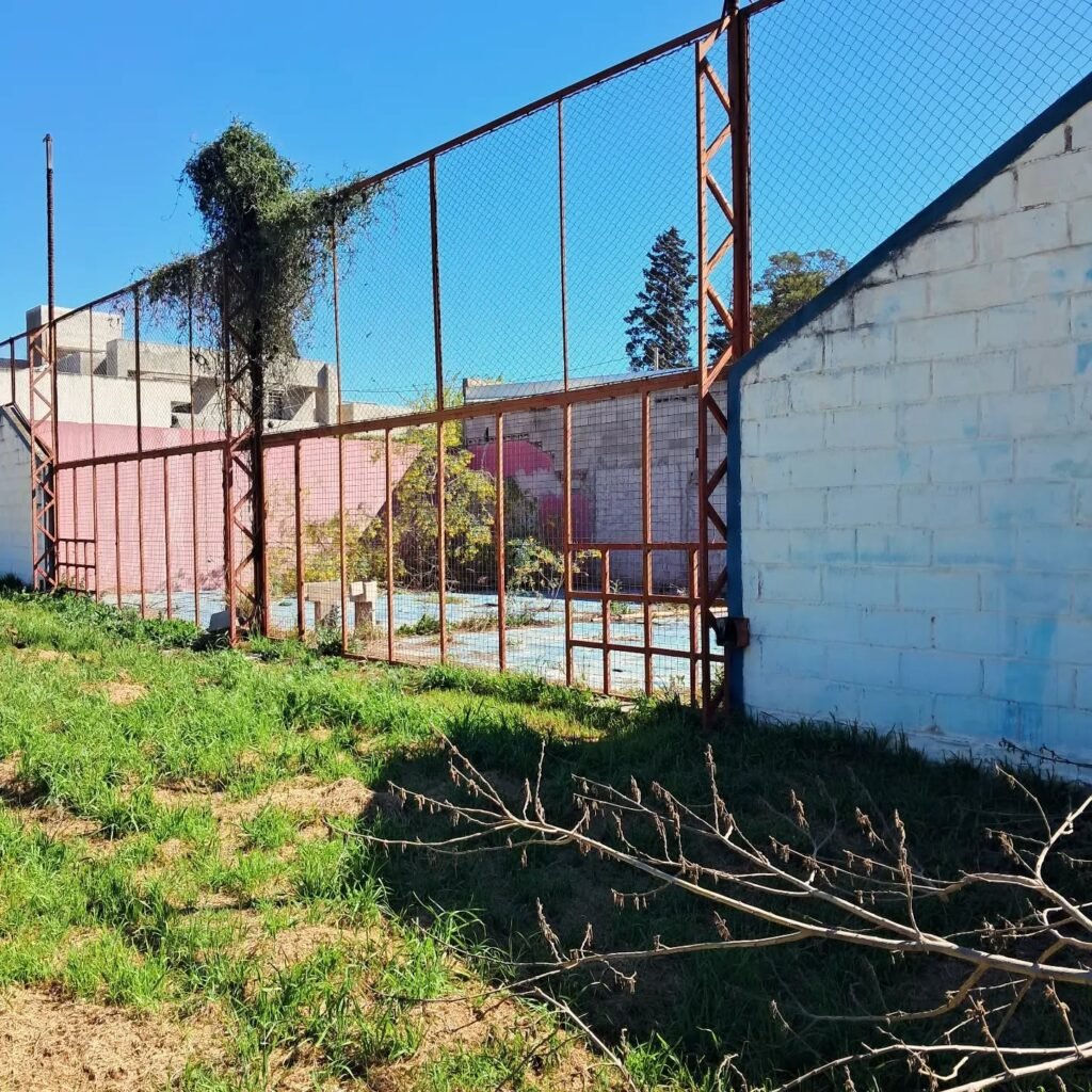 La vieja cancha de pádel de Pilar, Córdoba, hoy cubierta por la vegetación
