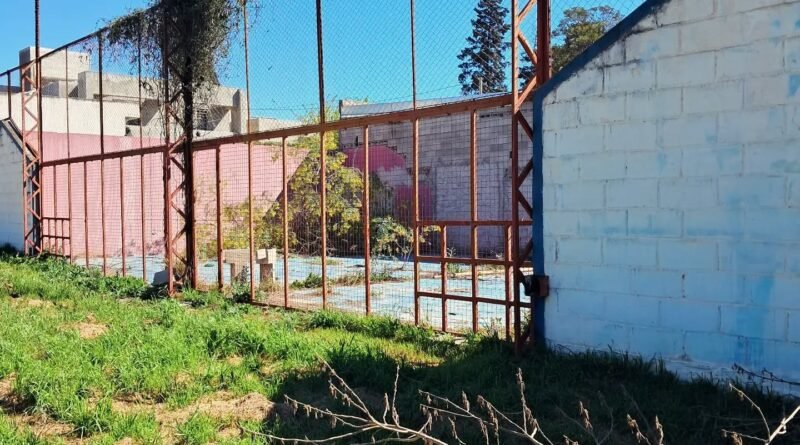 La vieja cancha de pádel de Pilar, Córdoba, hoy cubierta por la vegetación